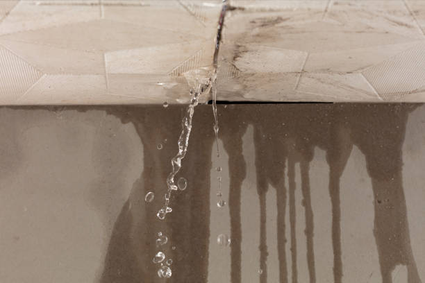 Professional Structural Drying technician working in Black Diamond, FL